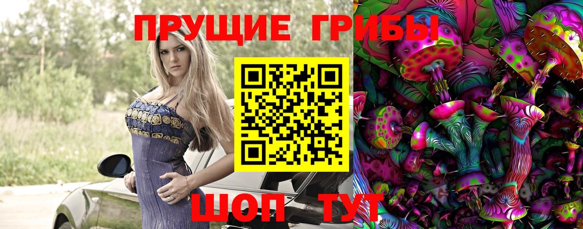 Мирный  Галлюциногенные грибы GOLDEN TEACHER  что такое   Вход с VPN 